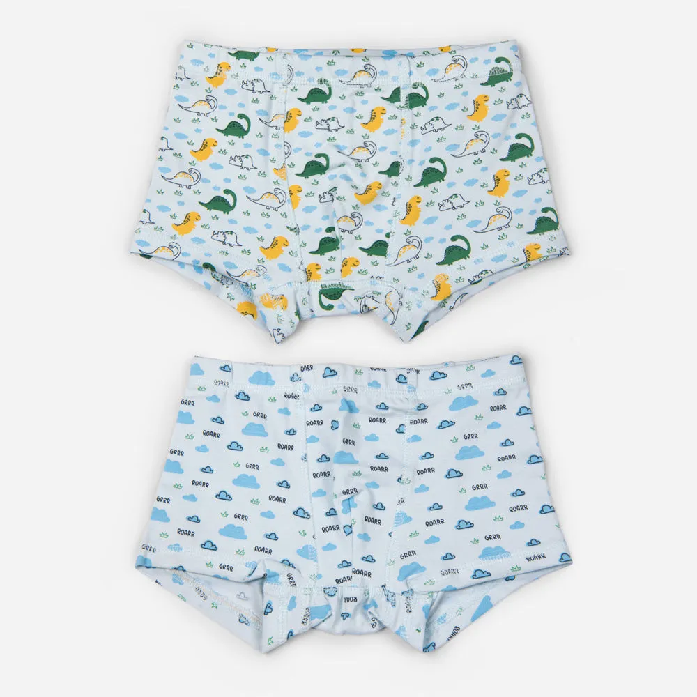 Organic Cotton Boys Boxer Briefs - Dino Combo Set of 2