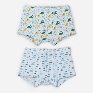 Organic Cotton Boys Boxer Briefs - Dino Combo Set of 2
