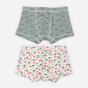 Organic Cotton Boys Boxer Briefs - Paper Boats Combo Set of 2