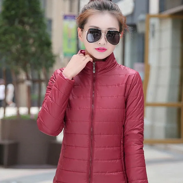 Winter/Spring Coat women winter basic jacket